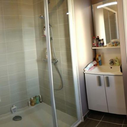 Location Appartement 2 pièces 42m² - Photo 4