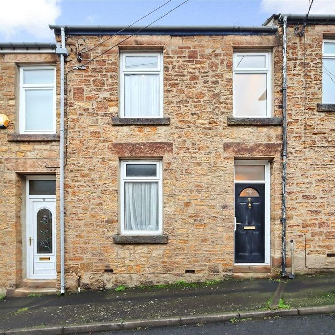 3 bedroom house to rent - Photo 1