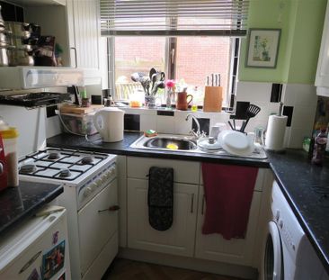 Lime Tree Avenue - Photo 5