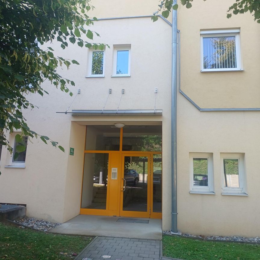 Pfeifferhofweg 28-30/12: 3 Zimmer Wohnung mit Terrasse in Andritz - Photo 1