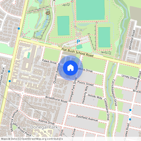 9 Hakinakina Drive, Flat Bush, Manukau City