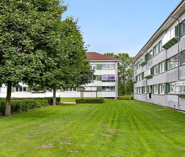 Afd. 51 Jennumparken 3 - Foto 2