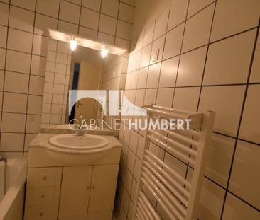 Location Appartement 3 pièces 50m² ST ETIENNE 42000 - Photo 6