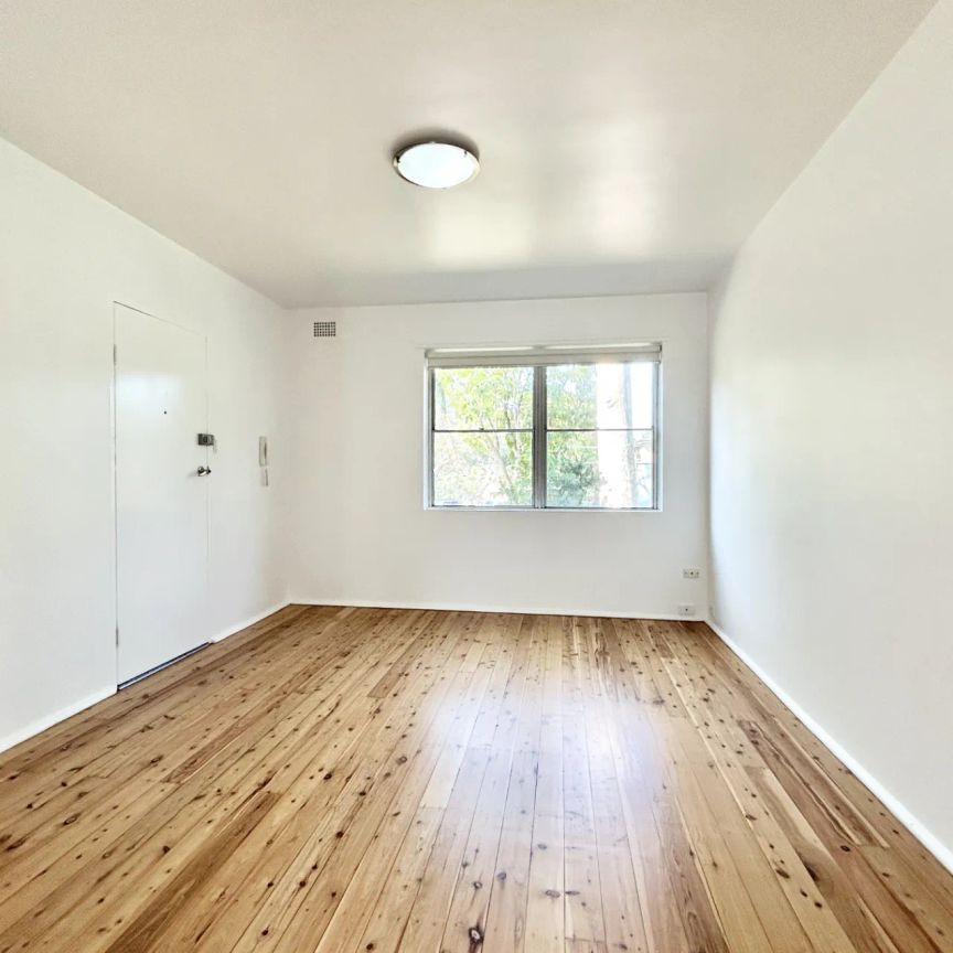 Updated & Spacious Apartment in Ultra-Convenient Location - Photo 1