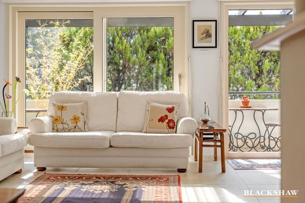 2/37 Dominion Circuit, Forrest ACT 2603 - Townhouse For Rent | Domain - Photo 1