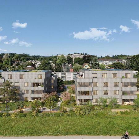 3.5 Zimmer Neubauwohnung in Pfäffikon ZH zu vermieten - Photo 4