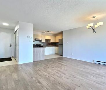 7011 Av. Lionnaise - Photo 1