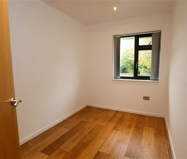 Morgay Wood Lane, Three Oaks, Hastings - Photo 5