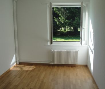 3 Zimmer, 62 m², EG - Photo 1