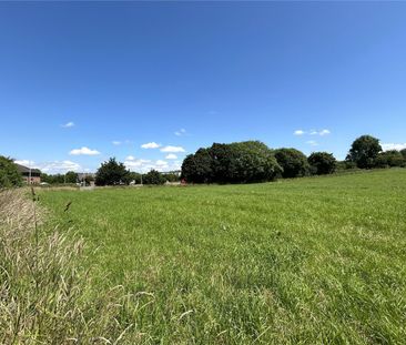 Rolls Mill, Sturminster Newton, DT10 - Photo 4