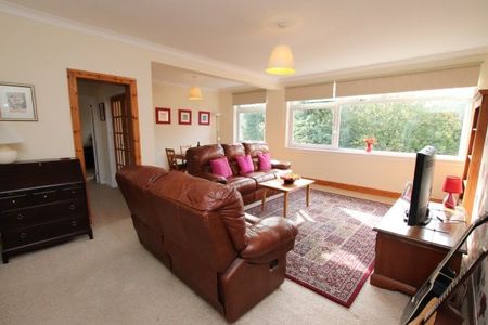 Park Court, Giffnock - Photo 5