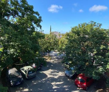 PROX DUPUY - Photo 3