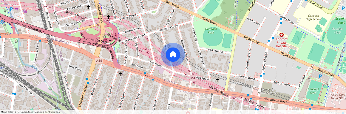 5 Coles Street, Concord NSW 2137