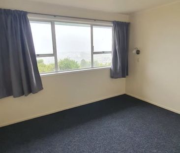 Views Are Amazing! Selwyn Heights - Photo 3