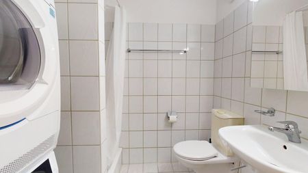 Neugasse 83 – Spacieux appartement de 3 chambres récemment meublé au cœur de Zurich ! - Foto 2