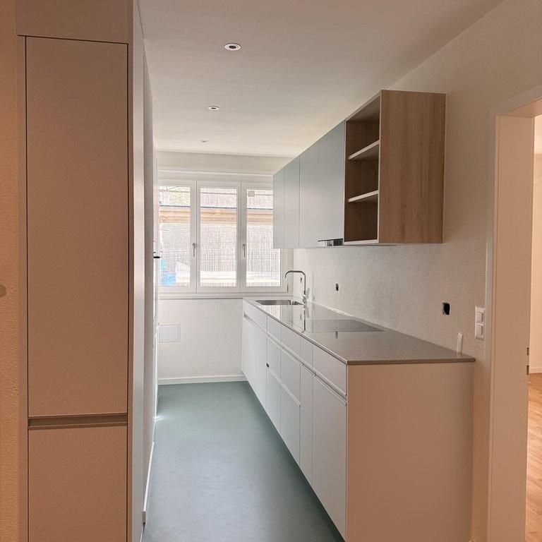 Umfassend sanierte 2.5-Zimmerwohnung mit modernem Ausbaustandard - Foto 1