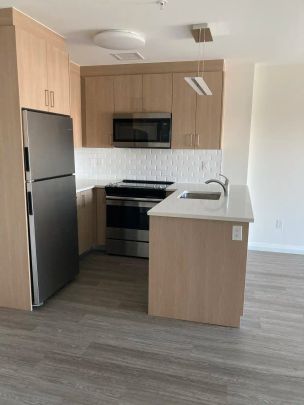 Lunen Haus — N, 706N-1606N - Photo 1