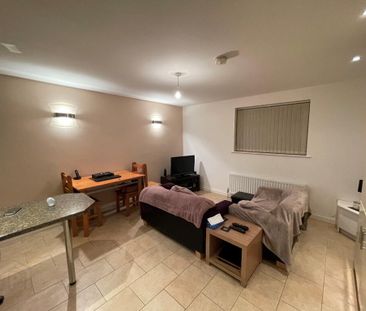 95B Eglantine Avenue, Belfast, BT9 6EX - Photo 2
