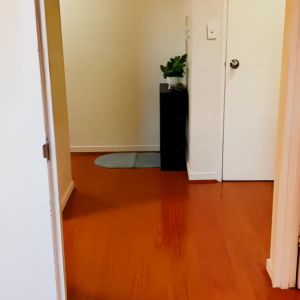 646 Harris St, Sydney - Photo 3