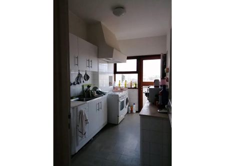 Rua da Maternidade, Porto, Braga 4050-370 - Photo 4