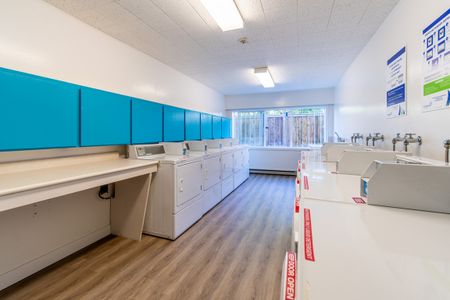 Royal Arms - Photo 3