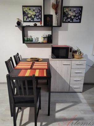 Nájem bytu 1kk, Lechowiczova, Moravská Ostrava - Photo 1