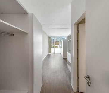 Living in Sihlhof 2 – Attention singles - Foto 1