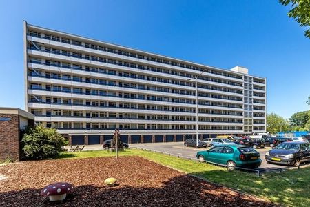 Te huur: Kamer Gamerslagplein in Arnhem - Foto 2