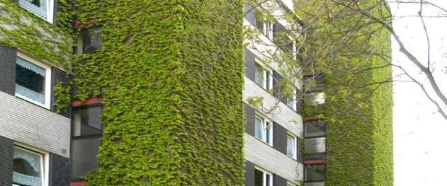 modernisierte 4- Zimmer Wohnung mit optimalem Schnitt in Duisburg-Neumühl! - Foto 1