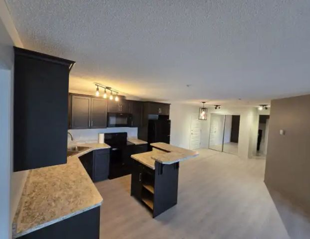 Large 2 bedroom condo in a quiet building | 307 - 6070 Schonsee Way, Edmonton - Photo 1