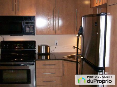606-295, boulevard Saint-Joseph, Gatineau (Hull) à louer - Photo 2