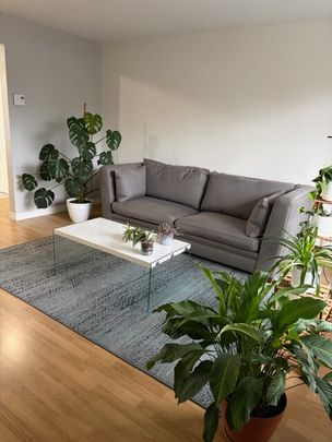 570-6 Bd Jacques-Cartier N, Sherbrooke, (juillet) QC J1J 3A4 - Photo 1