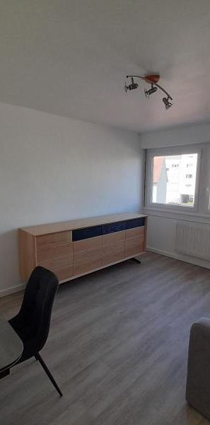 Location Appartement 1 pièce 26m² STRASBOURG 67100 - Photo 1