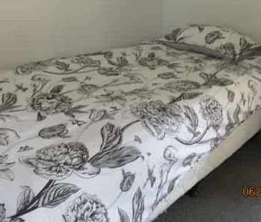 Furnished Studio Room in Hillcrest - Quiet Street - Photo 3