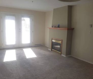 2 Bed 1 bath in Esquimalt Village - Photo 3