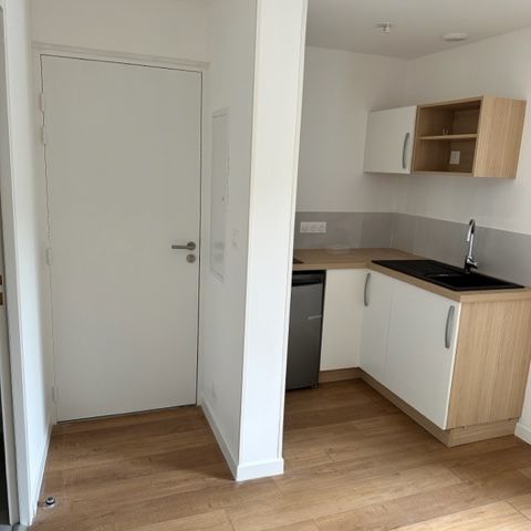 A louer Brest Rive Gauche-Penfeld- proche facs T1 neuf - Photo 1