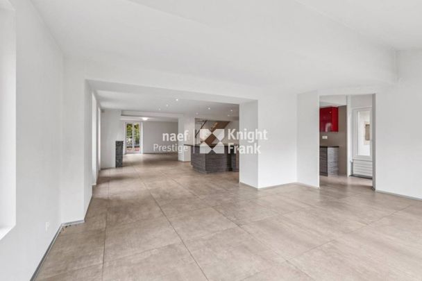 Splendide maison mitoyenne moderne de 8 pièces avec un grand jardin à Colombier - Foto 1