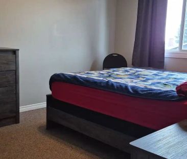 1 cozy bedroom for rent in Castle Downs — 3 Bedrooms Room For Rent - Photo 1