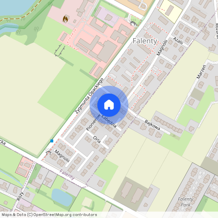 1 Pionierów Raszyn Polska