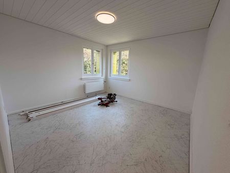 4 Zimmer, 70 m², EG - Photo 3