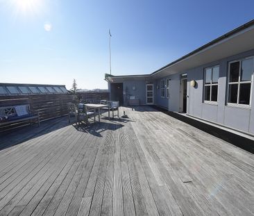 Charmerende to-plans lejlighed i livlige Aalborg - Photo 1