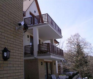 Normafa út - Photo 4