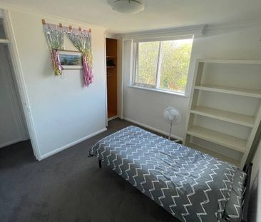 Hawthorn East - Photo 3