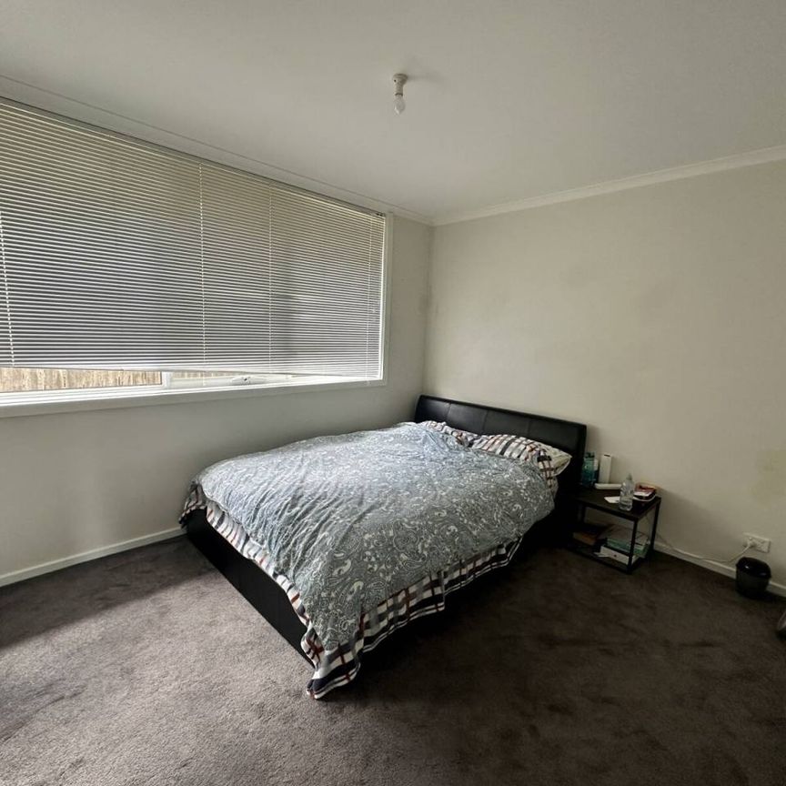 Neat & Homely 2 Bedroom Unit! - Photo 1