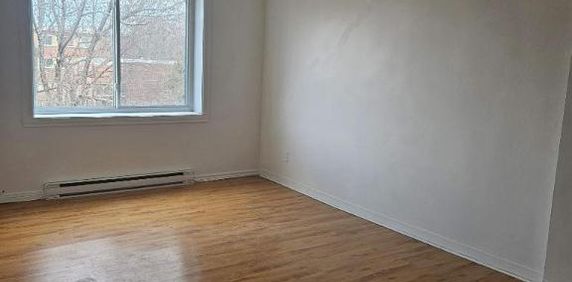 1 CH - 1 SDB - Montréal - $1,245 /mo - Photo 2