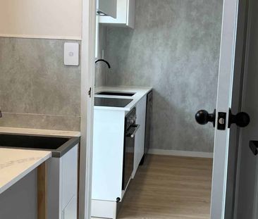 BEAUTIFULLY RENOVATED-WALK TO ONE TREE HILL! - Photo 2
