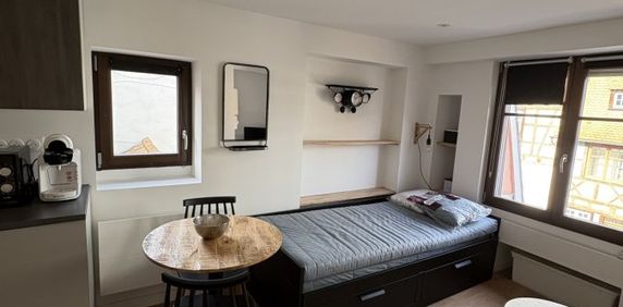 Appartement 1 pièce à Strasbourg - Photo 2