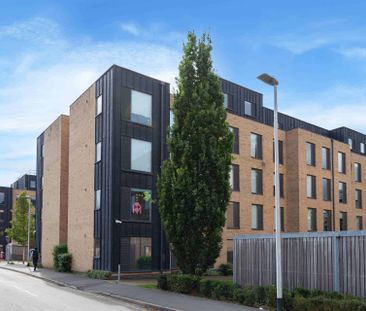 Premium Ensuite - Photo 6