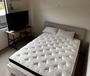 Parramatta Park - Photo 3