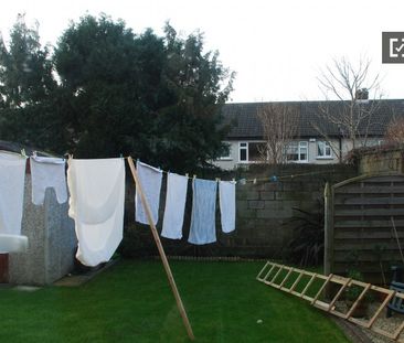 Wonderful room in shared apartment in Dun Laoghaire, Dublin - Photo 4